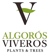 Algoro Viveros